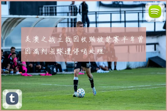 美澳之战主裁因收贿被禁赛半年曾因漏判点球遭停哨处理